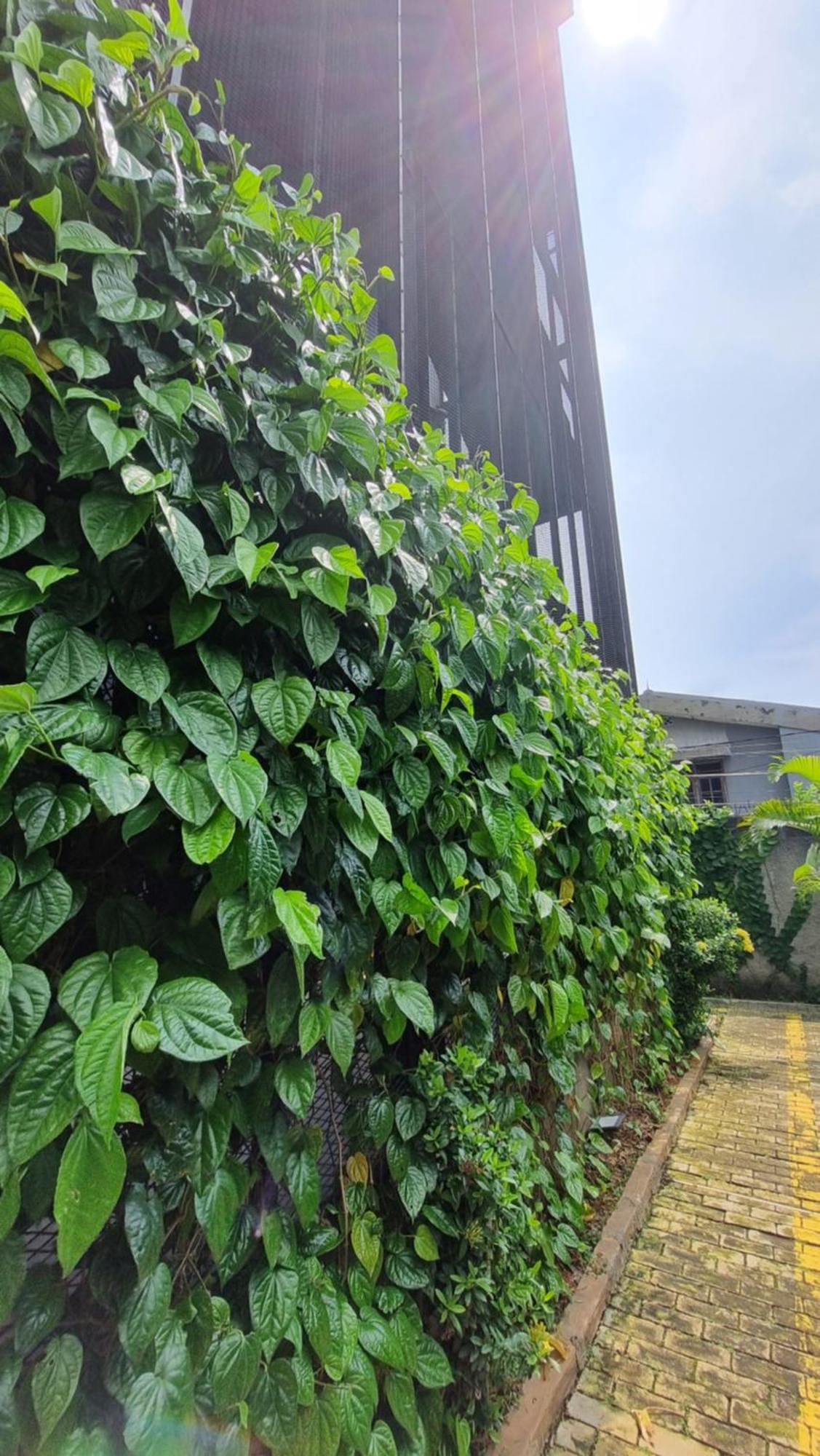 Guest House 555 Nki South Tangerang Εξωτερικό φωτογραφία